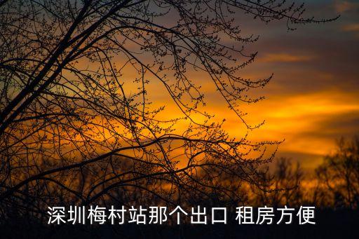 深圳tt国际公寓租房,深圳东海国际公寓租房价格