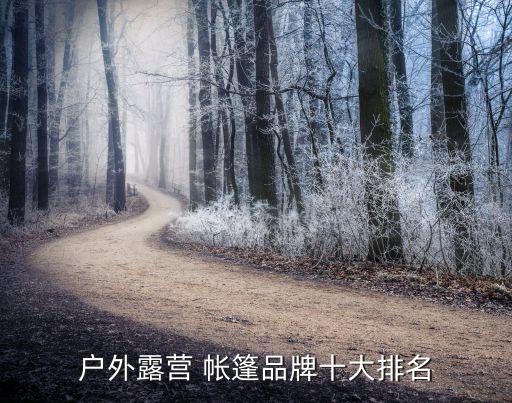 国外哪个牌子帐篷最好,露营帐篷哪个牌子的质量好一些