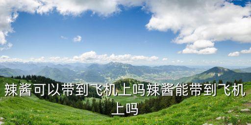 辣酱可以带到飞机上吗辣酱能带到飞机上吗