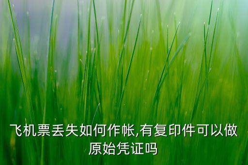 飞机票丢失如何作帐,有复印件可以做原始凭证吗