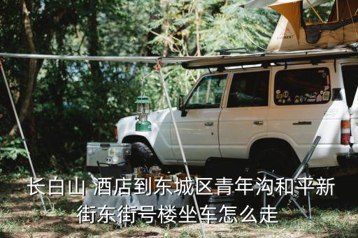  长白山 酒店到东城区青年沟和平新街东街号楼坐车怎么走