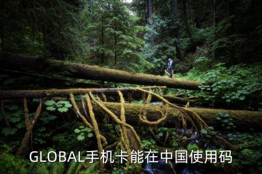 globe 开通国际长途套餐,Globe套餐开通