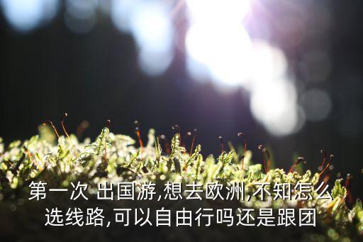 出国游从国外成团还是国内成团