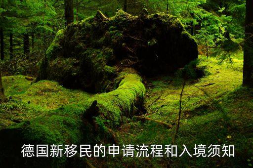  德国新移民的申请流程和入境须知