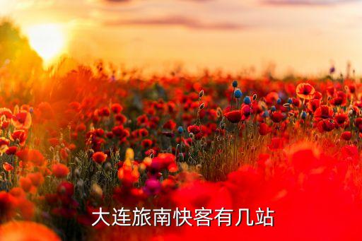  大连旅南快客有几站