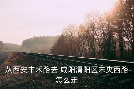 咸阳国际财富中心论坛,咸阳首映国际影城财富中心
