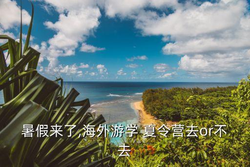 暑假来了,海外游学 夏令营去or不去