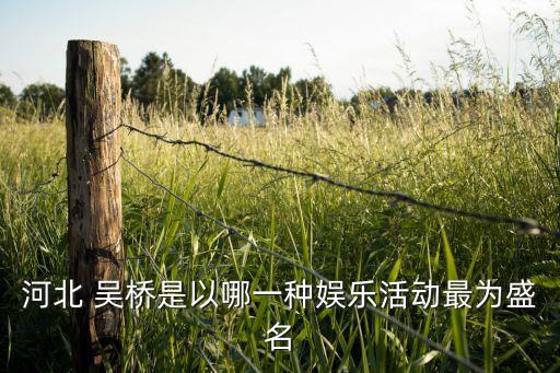 河北 吴桥是以哪一种娱乐活动最为盛名