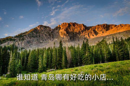 谁知道 青岛哪有好吃的小店...