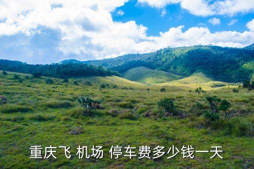 重庆飞 机场 停车费多少钱一天