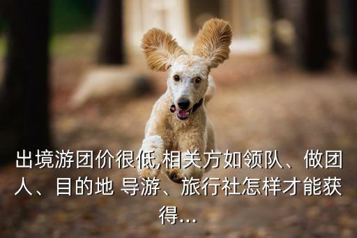 出境游团价很低,相关方如领队、做团人、目的地 导游、旅行社怎样才能获得...