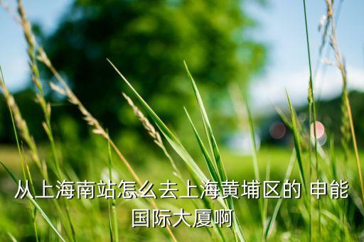 上海市卢湾区复兴中路1号申能国际大厦10层1001室 邮编