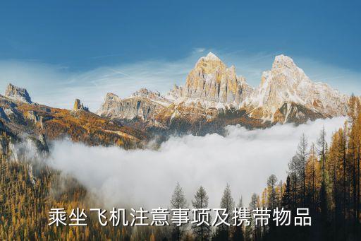 坐国际航班要带什么,坐飞机需要准备什么?