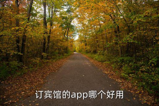 国外定酒店用什么软件好,国外用什么软件定民宿