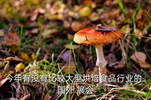 今年有没有比较大型烘焙食品行业的 国外 展会