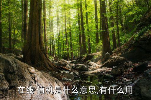 国际航空网上值机的人多吗