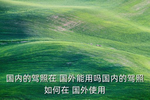 国内的驾照在 国外能用吗国内的驾照如何在 国外使用