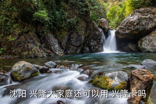 沈阳 兴隆大家庭还可以用 兴隆卡吗