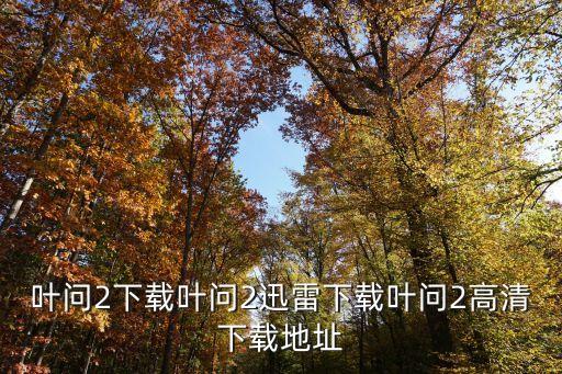 叶问2下载叶问2迅雷下载叶问2高清下载地址
