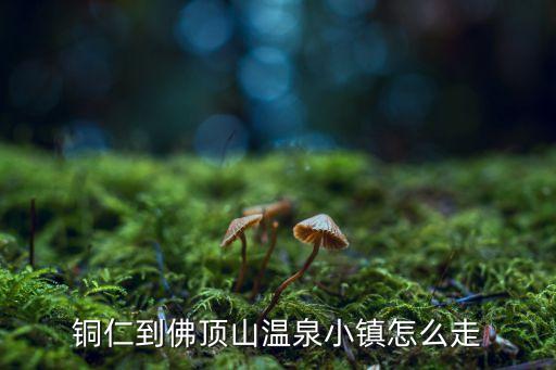 石阡五方国际商贸城