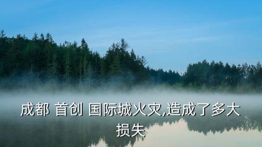 成都 首创 国际城火灾,造成了多大损失