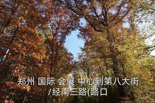 郑州国际会展中心 交通