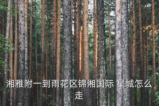 长沙五一广场到星城国际公交,长沙国际中心五一广场