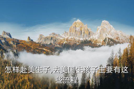 怎样赴美生子,去美国生孩子主要有这些流程