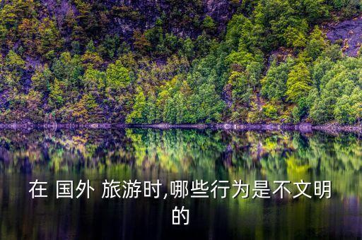 国外旅游素质,去国外旅游用什么地图软件好