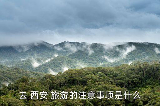 西安国际旅游卫生,济南国际旅游保健卫生中心电话
