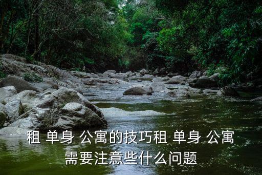 租 单身 公寓的技巧租 单身 公寓需要注意些什么问题