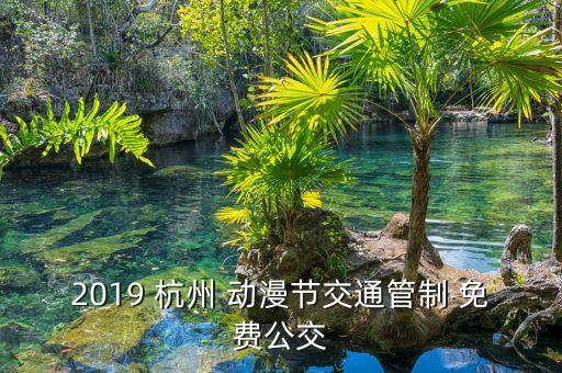 2019 杭州 动漫节交通管制 免费公交