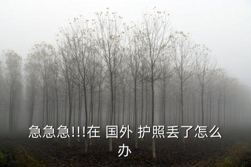 急急急!!!在 国外 护照丢了怎么办