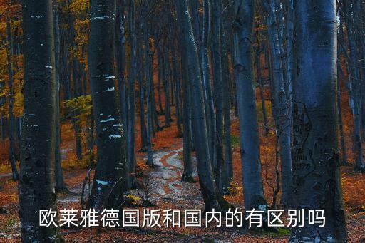 欧莱雅德国版和国内的有区别吗