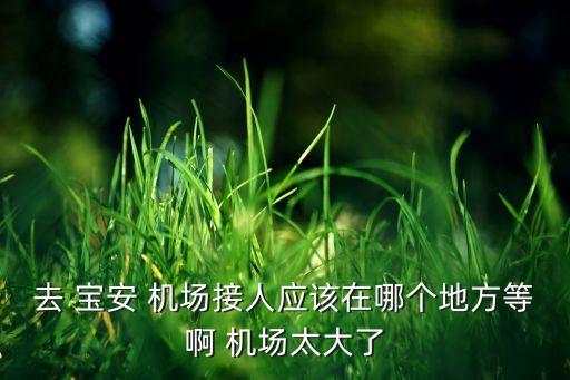 深圳宝安机场国际航班接机