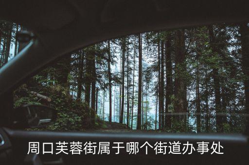  周口芙蓉街属于哪个街道办事处