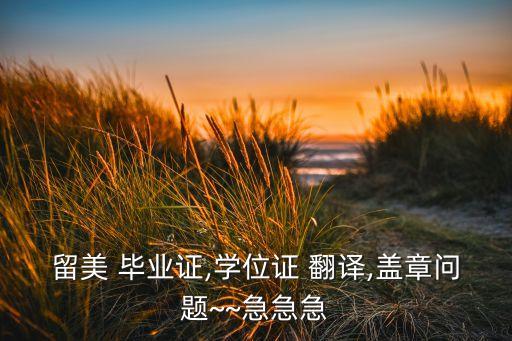 留美 毕业证,学位证 翻译,盖章问题~~急急急