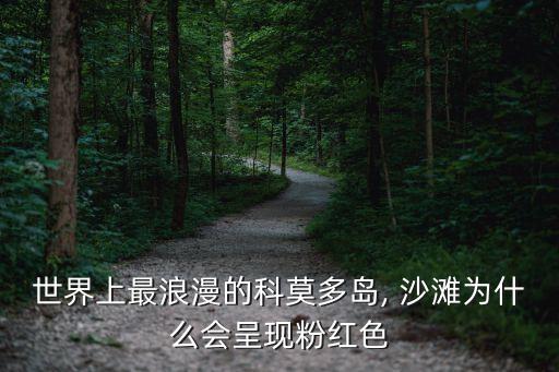 世界上最浪漫的科莫多岛, 沙滩为什么会呈现粉红色