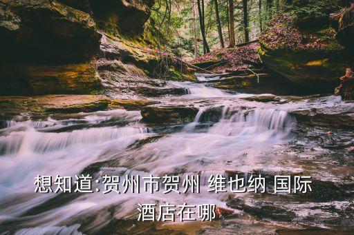 维也纳国际酒店找地方,赤壁维也纳酒店在哪个地方