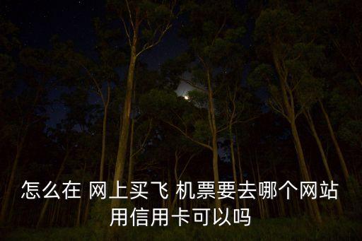 怎么在 网上买飞 机票要去哪个网站用信用卡可以吗