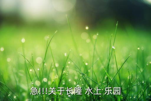 急!!!关于长隆 水上 乐园