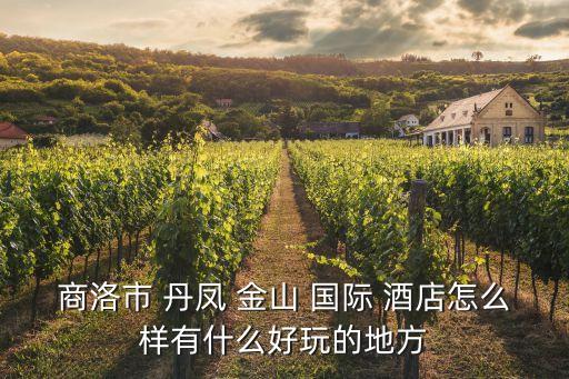 商洛市 丹凤 金山 国际 酒店怎么样有什么好玩的地方