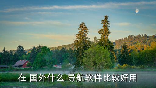 到国外手机地图导航地图导航地图,华为手机在国外用什么导航地图好