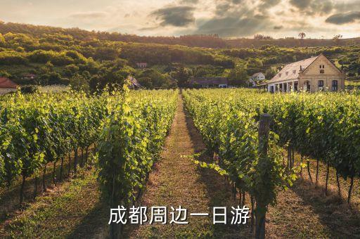 东山国际游泳,广州东山游泳场