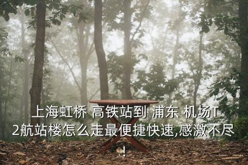  上海虹桥 高铁站到 浦东 机场T2航站楼怎么走最便捷快速,感激不尽!