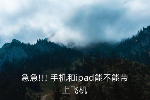 急急!!! 手机和ipad能不能带上飞机