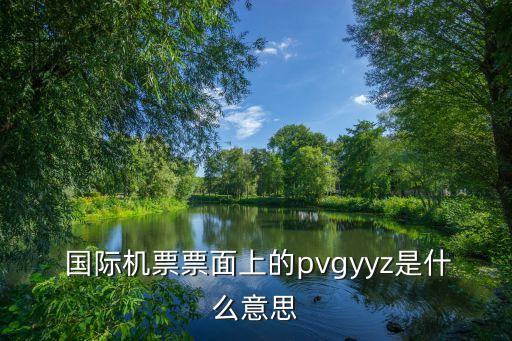  国际机票票面上的pvgyyz是什么意思