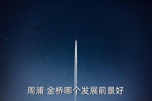 上海金桥国际广场点评,上海新金桥广场实业公司
