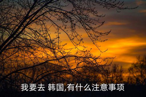 我要去 韩国,有什么注意事项