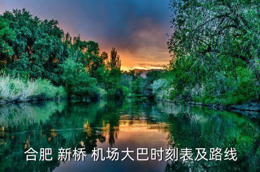  合肥 新桥 机场大巴时刻表及路线